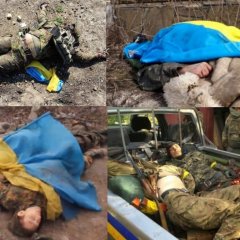 Сплять втомлені хохлята