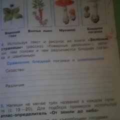 Тетрадь