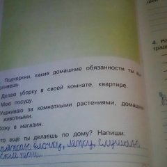 Тетрадь