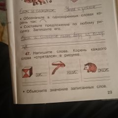 Тетрадь