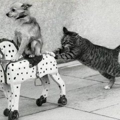 А