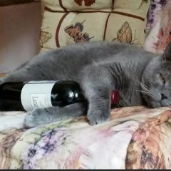 А