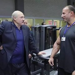 Алекс