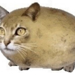 Чилипиздрик