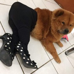 Колготы ей жмут