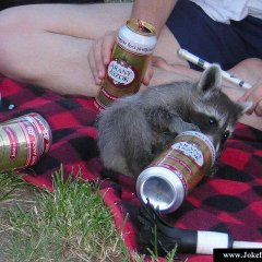 Крошка енот пьяница