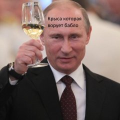 Крыса