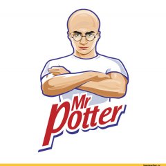 Мистер Поттер