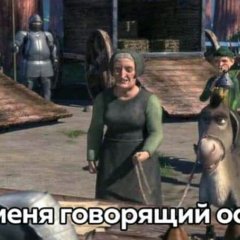 Осел