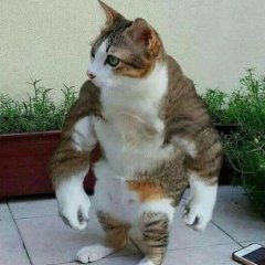 П