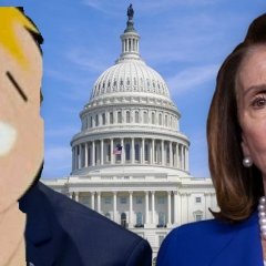 Pelosi