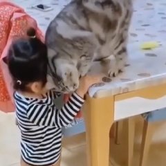 Ребенок и кот