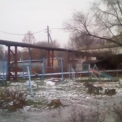 Рыжик дерётся с другим котом