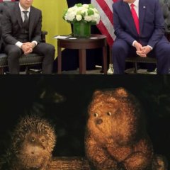 Трамп и зеленский