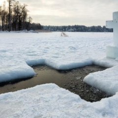 Цэркавь
