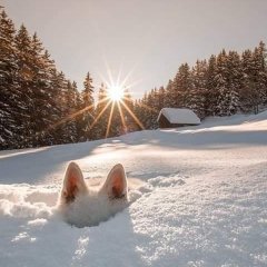 Доброе утро