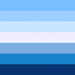 Gay flag