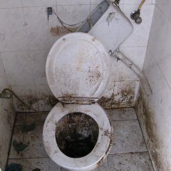 Кишка