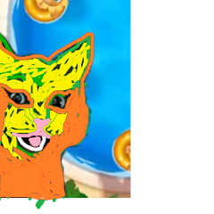 Кот бетмен