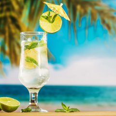 Mojito