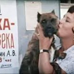Панин и собака