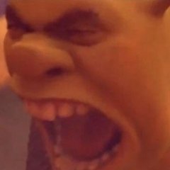 Shrek is love shrek is live