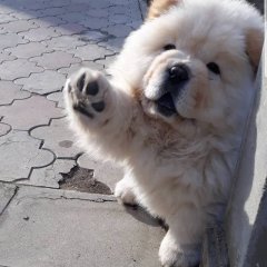 Дай руку человек
