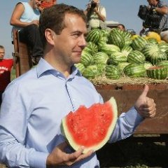 Медведев