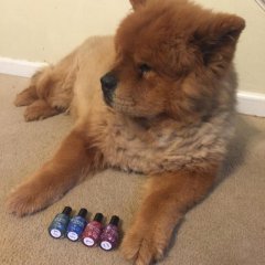 Mugen doing his vogue look and