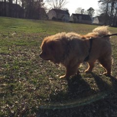 Mugen islooking for the perfect spot