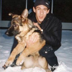 Панин и собака