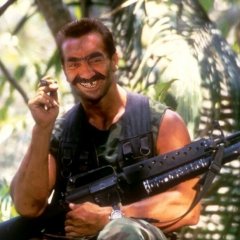 Predator