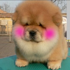 Сегодня макияж  отдельный вид искусства