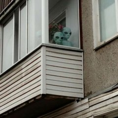 Семья директора рен тв