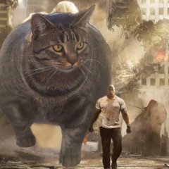 Супер-кот