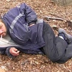 Свідомий бомж незалежності