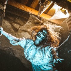 Зомби крадётся