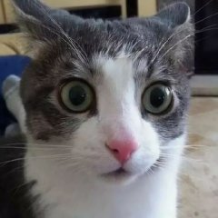 А