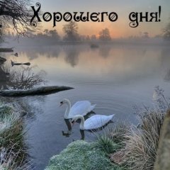 Доброе утро