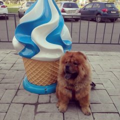 Если ты ешь мороженое то как-то не верится