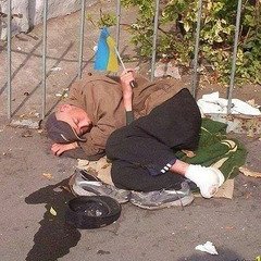 Хохложивотное