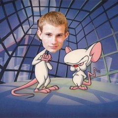 Куров и Брейн