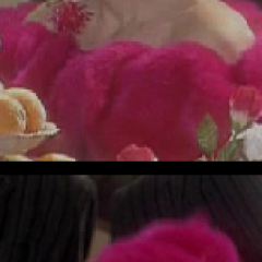Lady In Pink