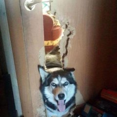 Мем а вот и Джонни
