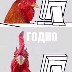 Петух за компом