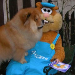 Поговори хоть ты со мной