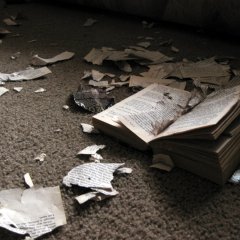 Порванная книга