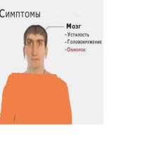 С либ
