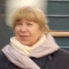 Шавка