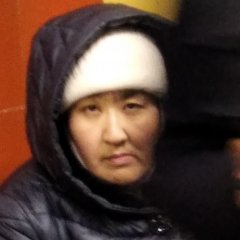 Шавка